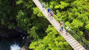 Product 9 Line Zipline