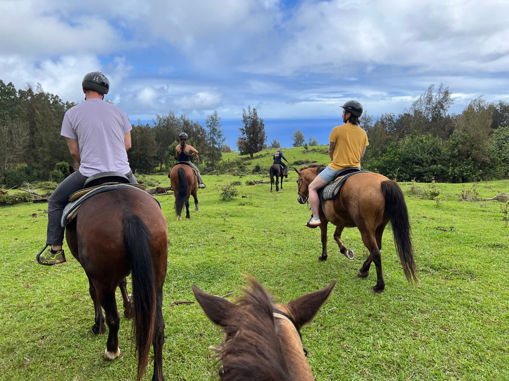 Product Waipio On Horseback